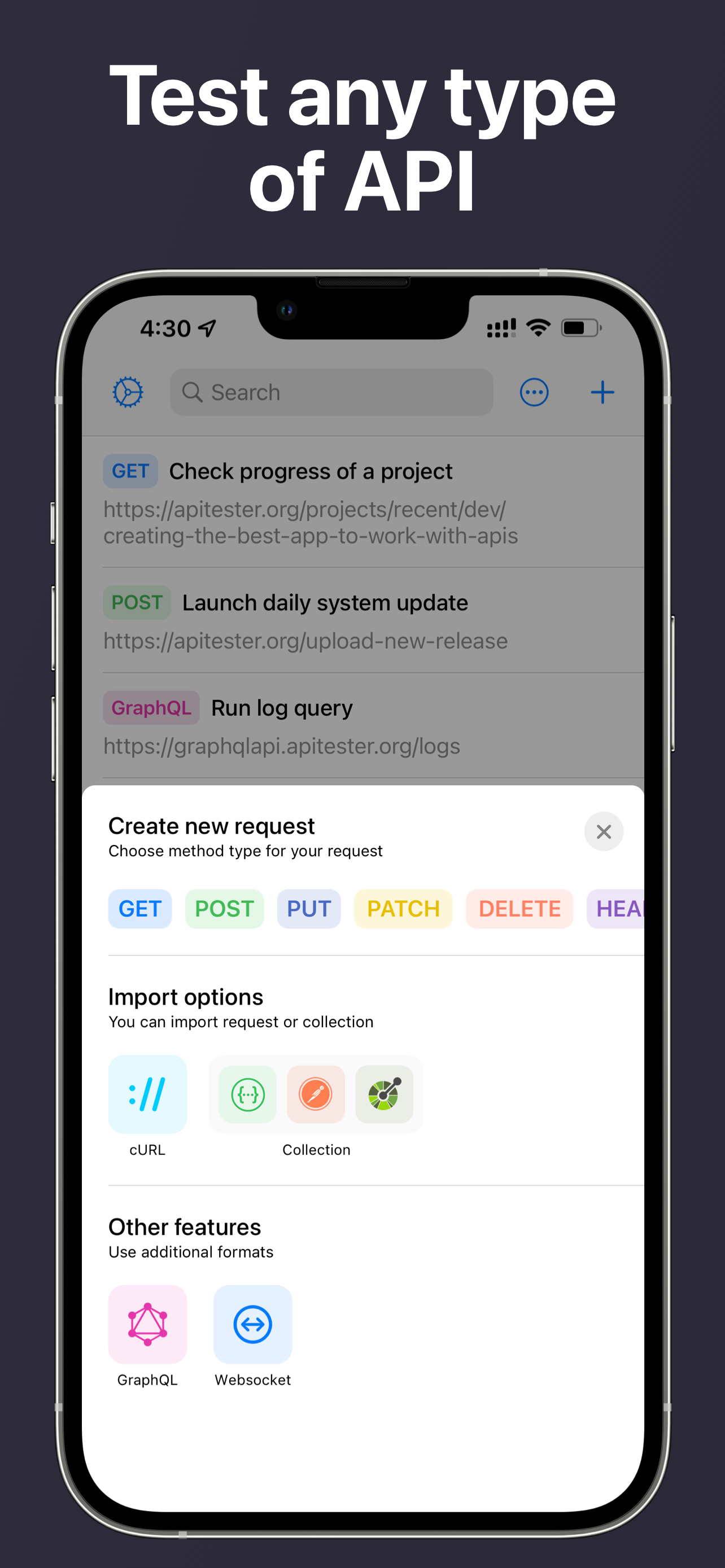 screenshot of API Tester